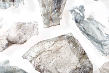Establishing the tray-to-tray recycling market: technology, scale and challenges