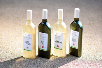 Packamama supplies The Wine Society with flat rPET bottles