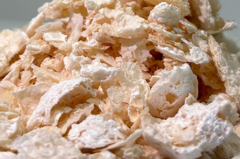Kobe University: Biodegradable PET alternative bioproduced at unprecedented levels