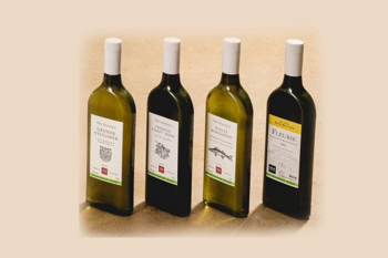 UK: The Wine Society trials Packamama eco-flat bottles following packaging research