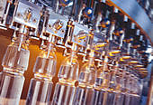 The merger produces one of the sector’s leading players. A turnover of over 300 million euro forecast for 2008